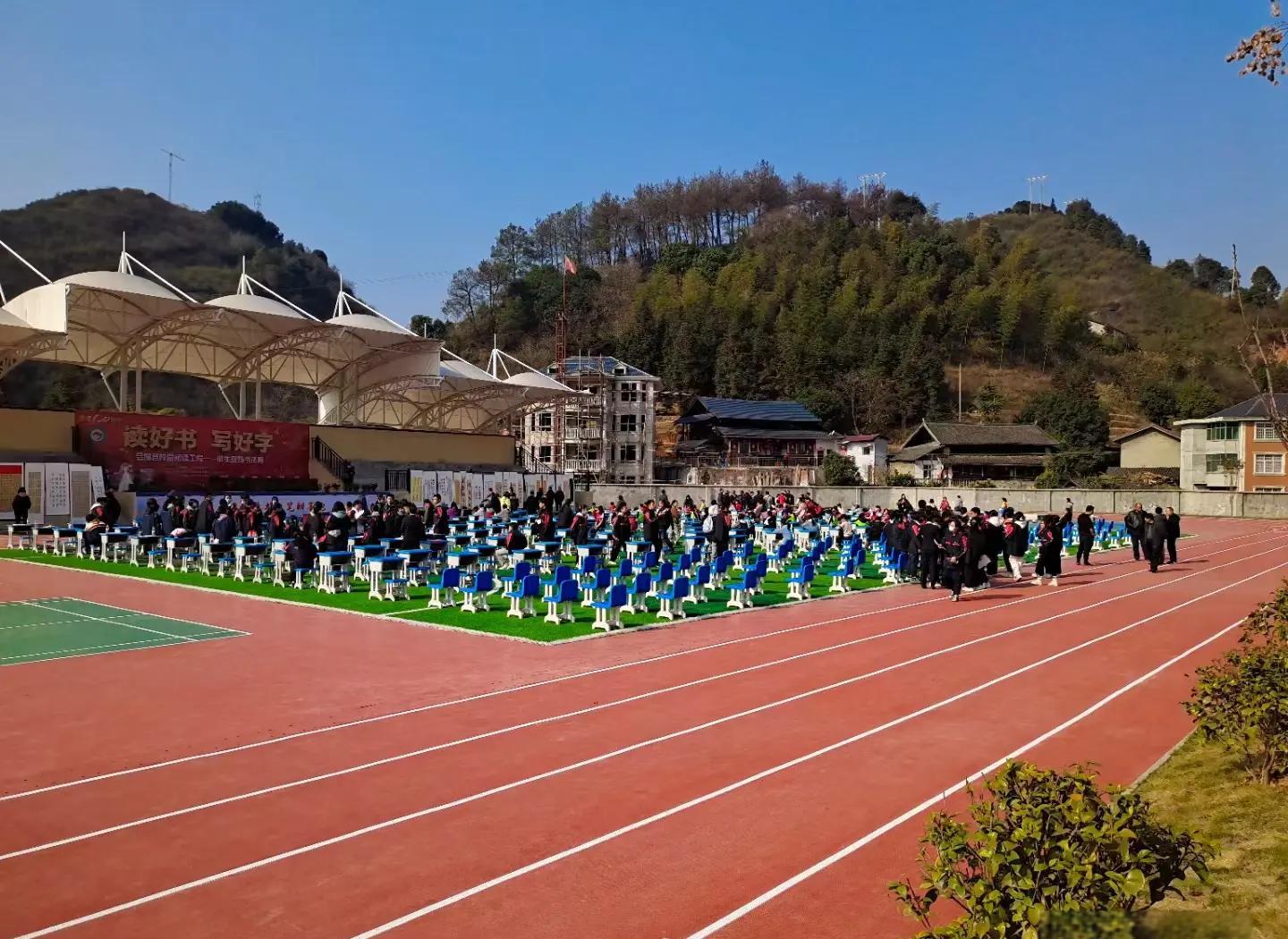 鹤岗市硅PU人造草坪 - 排名