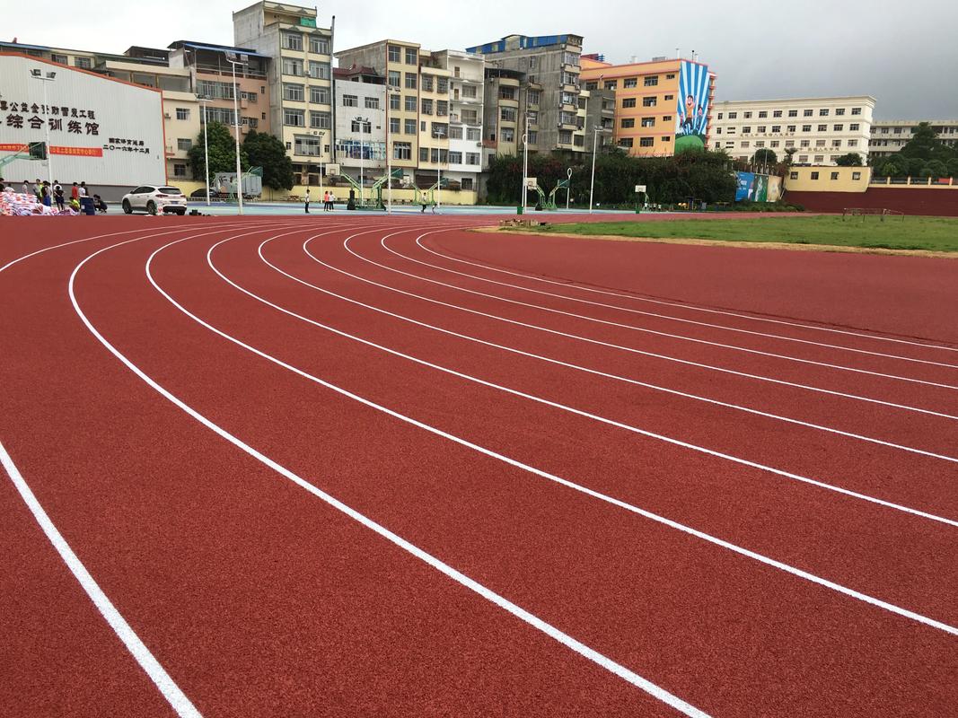 鹤岗市EPDM颗粒塑胶跑道材料 - 厂家